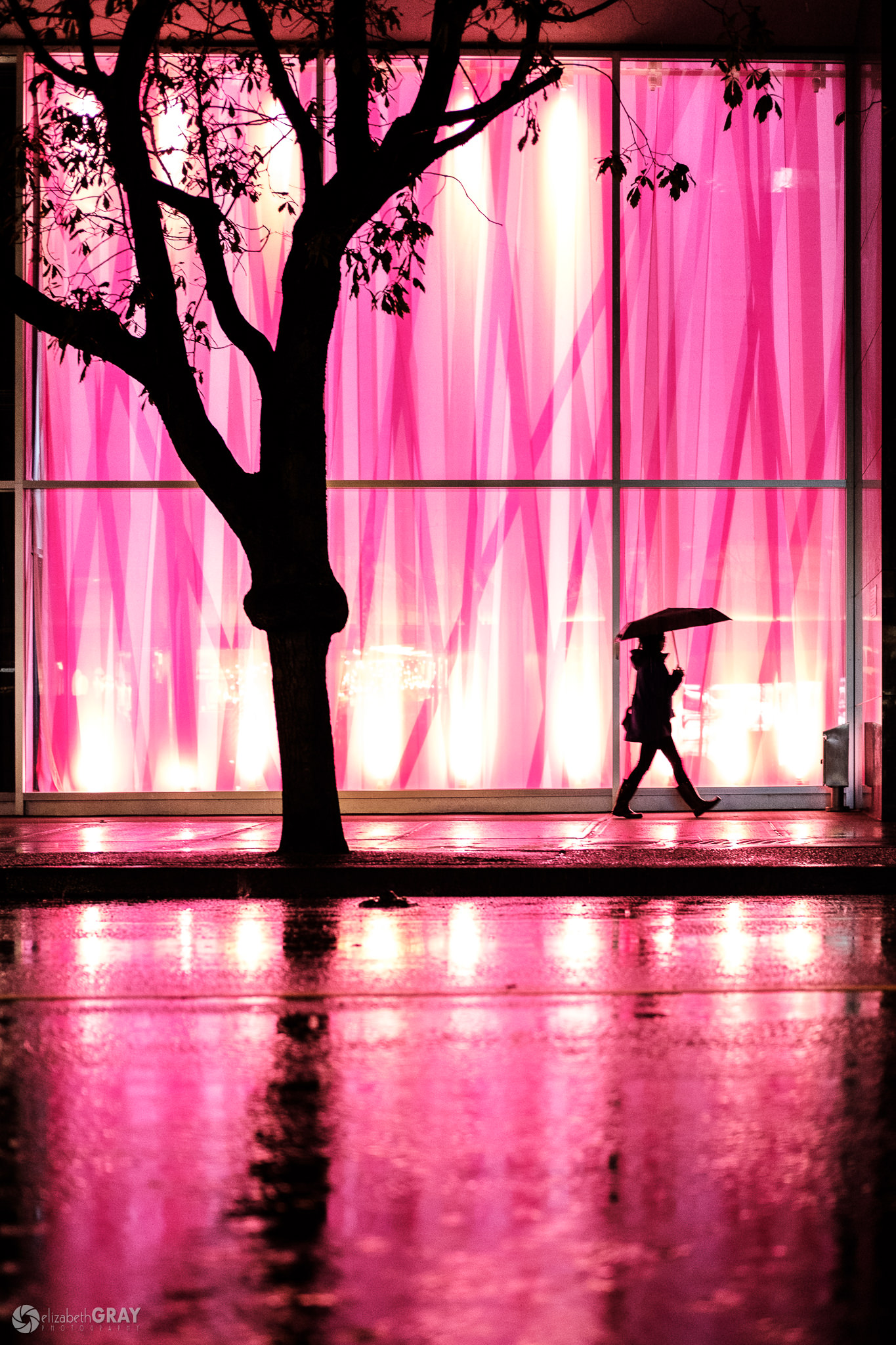 Pink Silhouette