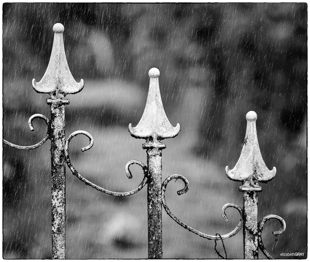 Rainy Day Garden Gate